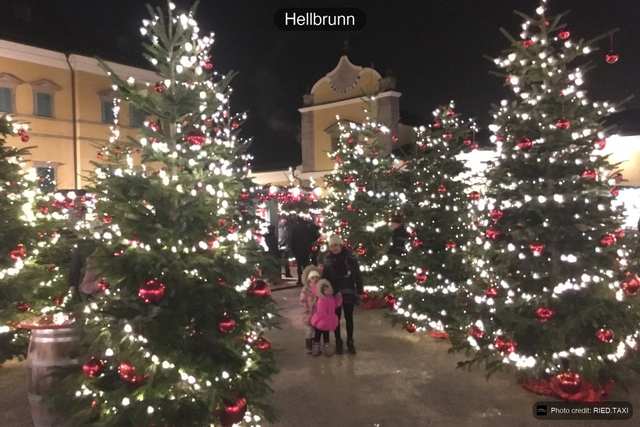 Beleuchtete Christbäume vor Schloss Hellbrunn am Abend