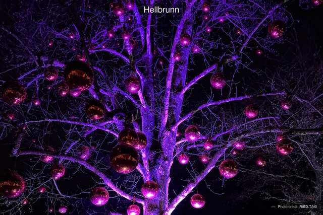 Ein Baum voller leuchtender Kugeln beim Hellbrunner Adventzauber
